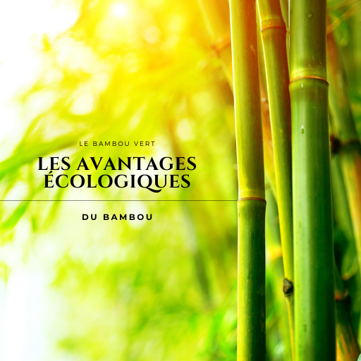 Les avantages écologiques des produits en bambou : pourquoi devriez-vous opter pour ce matériau ?