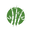 Le-bambou-vert