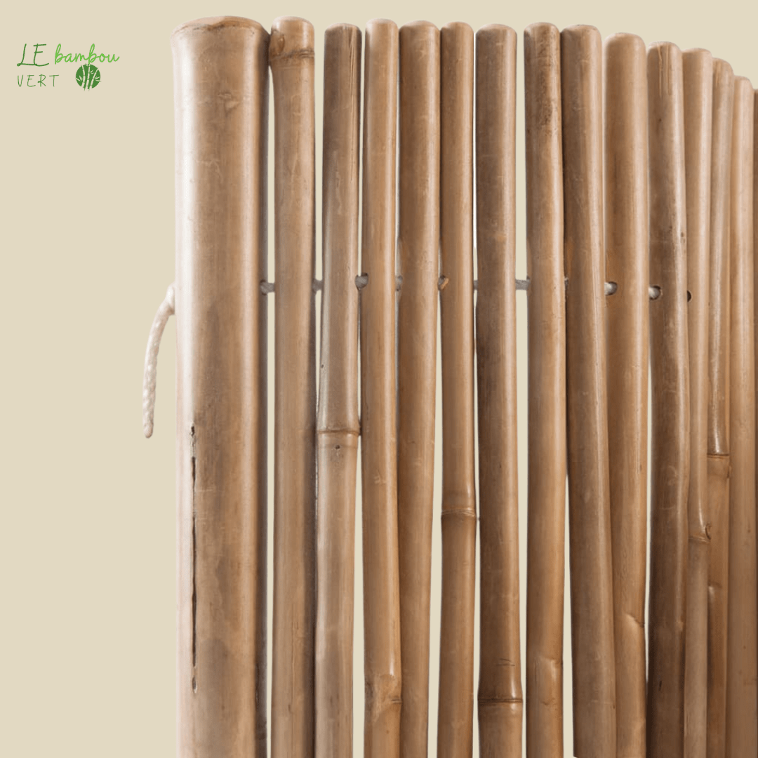 8718475501091 42504 le bambou vert